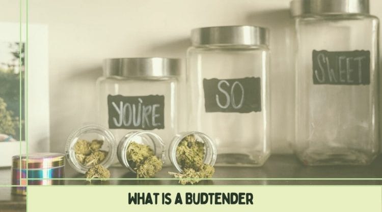 What is a Budtender