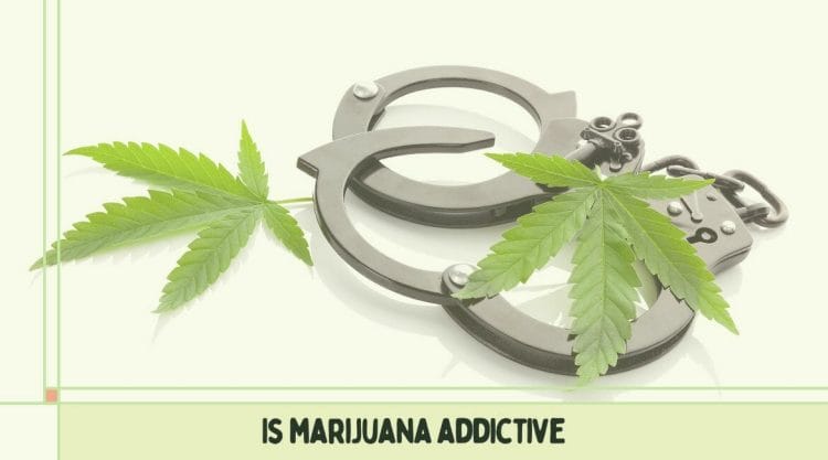 is marijuana addictive