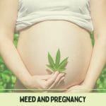 Weed And Pregnancy