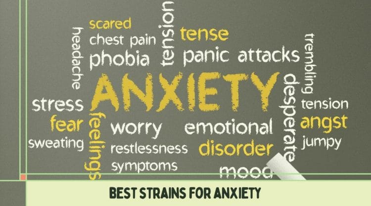 strains of weed for anxiety