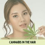 How-Long-Does-Marijuana-Stay-In-Your-Hair