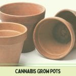 Cannabis Grow Pots