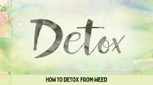 how-to-detox-from-weed